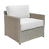 Malio Lounge Chair - 2 Fabric Choices Available - Padma's Plantation