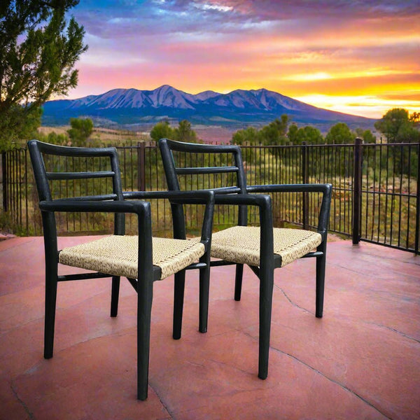 OUTDOOR VERANDA ARM DINING CHAIR - BLACK - SET OF 2 - Padma's Plantation