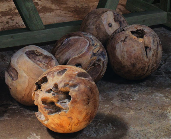 TEAK ROOT BALL - Padma's Plantation