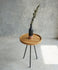 products/miramar-tripod-table-744549.jpg